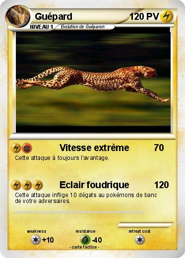 Pokemon Guépard