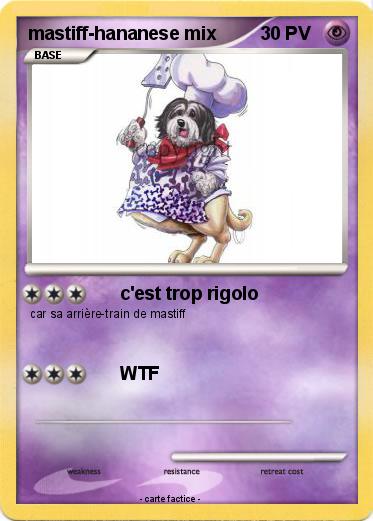 Pokemon mastiff-hananese mix