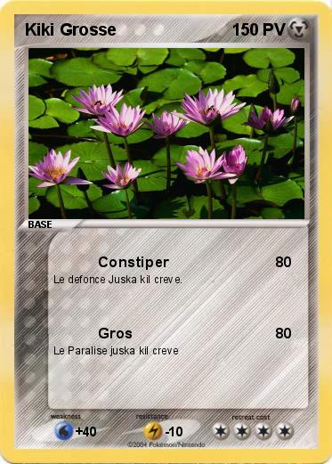 Pokemon Kiki Grosse