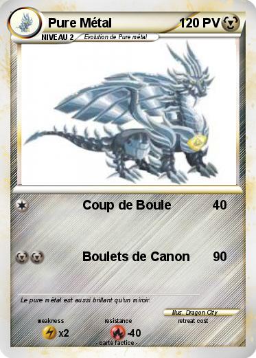 Pokemon Pure Métal
