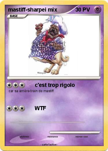 Pokemon mastiff-sharpei mix