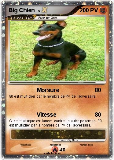 Pokemon Big Chien
