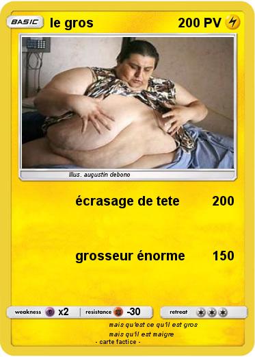 Pokemon le gros