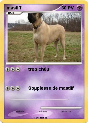 Pokemon mastiff