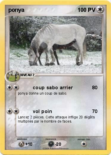 Pokemon ponya