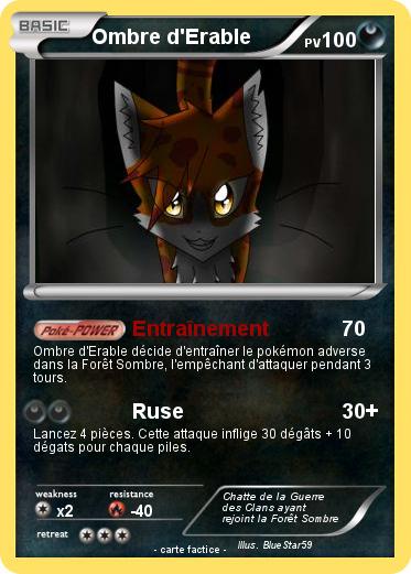 Pokemon Ombre d'Erable