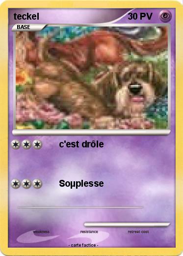 Pokemon teckel