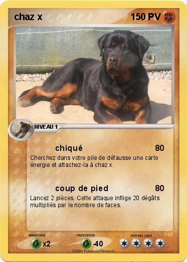 Pokemon chaz x