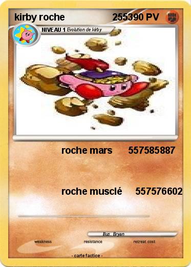 Pokemon kirby roche                  2553