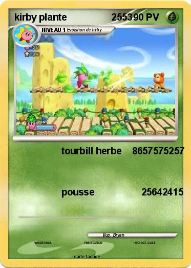 Pokemon kirby plante                 2553