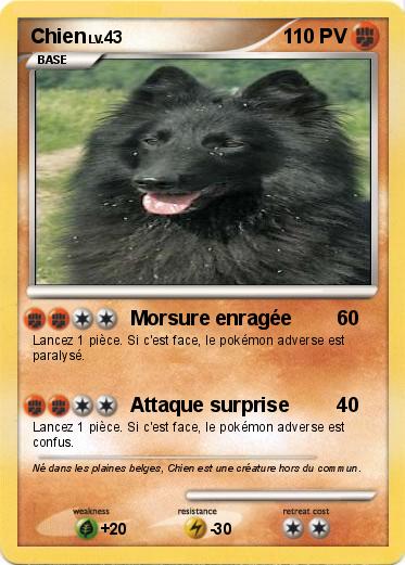 Pokemon Chien