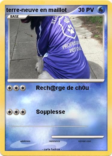 Pokemon terre-neuve en maillot