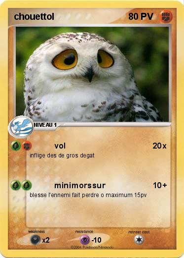 Pokemon chouettol