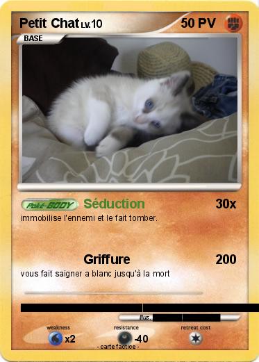 Pokemon Petit Chat