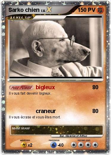 Pokemon Sarko chien