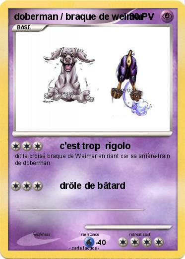 Pokemon doberman / braque de weimar