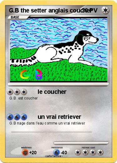 Pokemon G.B the setter anglais coucher