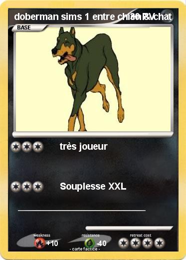 Pokemon doberman sims 1 entre chien & chat
