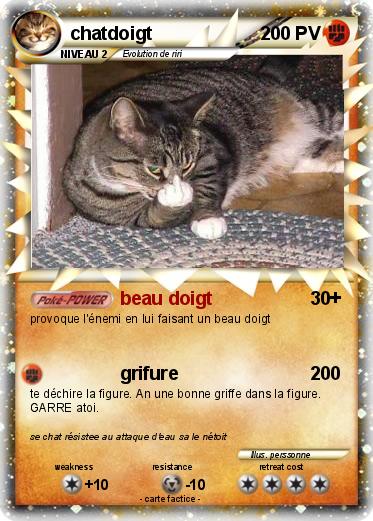 Pokemon chatdoigt