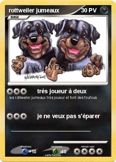 Pokemon rottweiler jumeaux