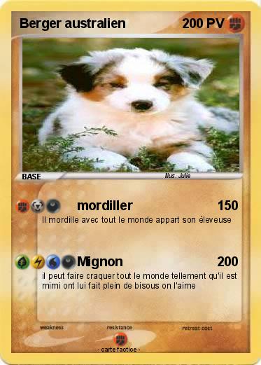 Pokemon Berger australien