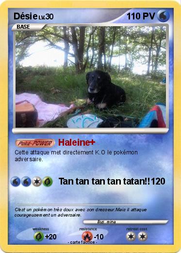 Pokemon Désie