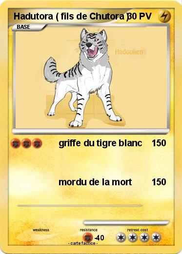 Pokemon Hadutora ( fils de Chutora )