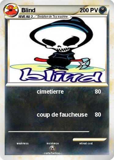 Pokemon Blind