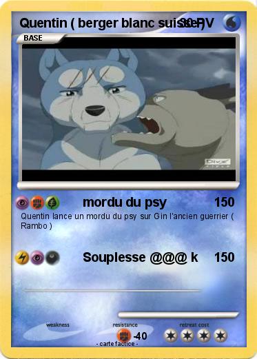 Pokemon Quentin ( berger blanc suisse )
