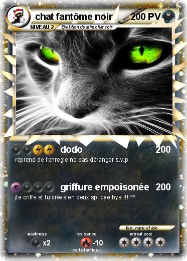 Pokemon chat fantôme noir