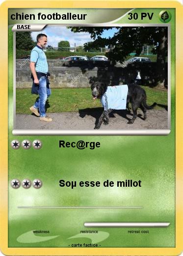 Pokemon chien footballeur