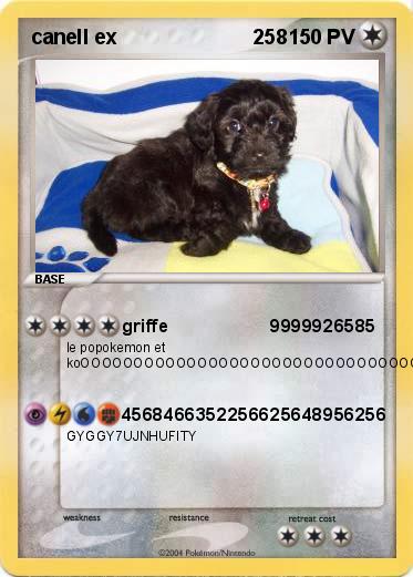 Pokemon canell ex                        258