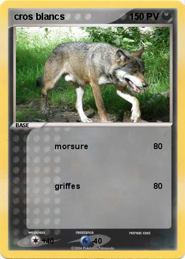Pokemon cros blancs