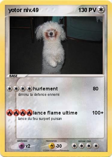 Pokemon yotor niv.49
