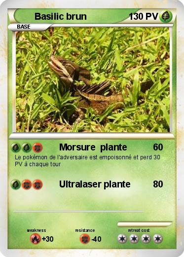 Pokemon Basilic brun