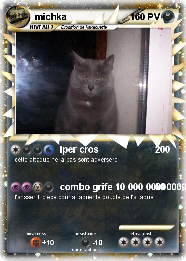 Pokemon michka