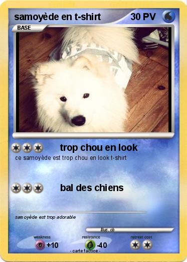 Pokemon samoyède en t-shirt