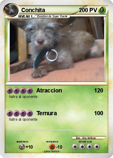 Pokemon Conchita