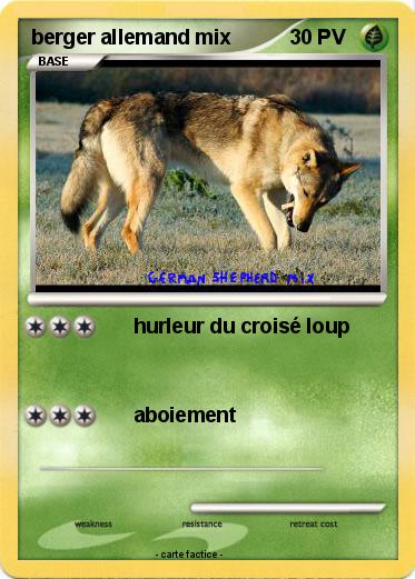 Pokemon berger allemand mix