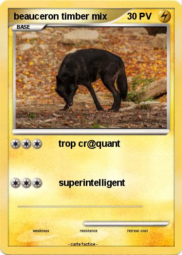 Pokemon beauceron timber mix