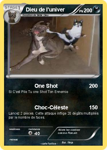 Pokemon Dieu de l'univer