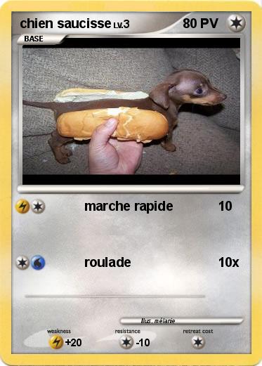 Pokemon chien saucisse