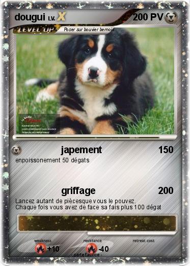 Pokemon dougui