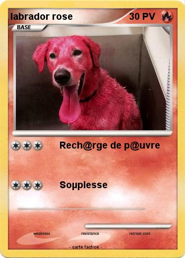 Pokemon labrador rose
