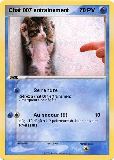 Pokemon Chat 007 entrainement