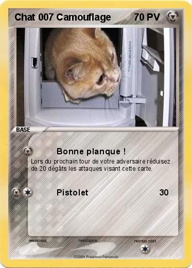 Pokemon Chat 007 Camouflage