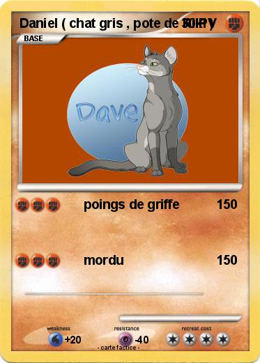 Pokemon Daniel ( chat gris , pote de Riki )