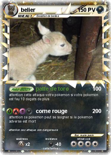 Pokemon belier