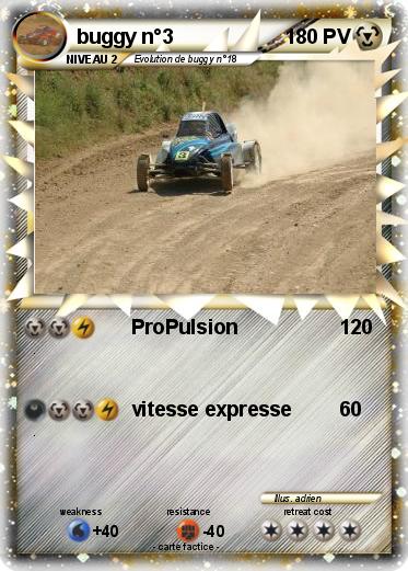 Pokemon buggy n°3