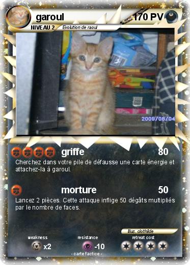 Pokemon garoul